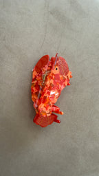 Pinza langosta