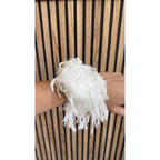 Coletero plumas