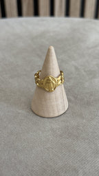 Anillo imagen