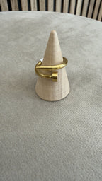 Anillo clavo