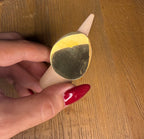 Anillo disco
